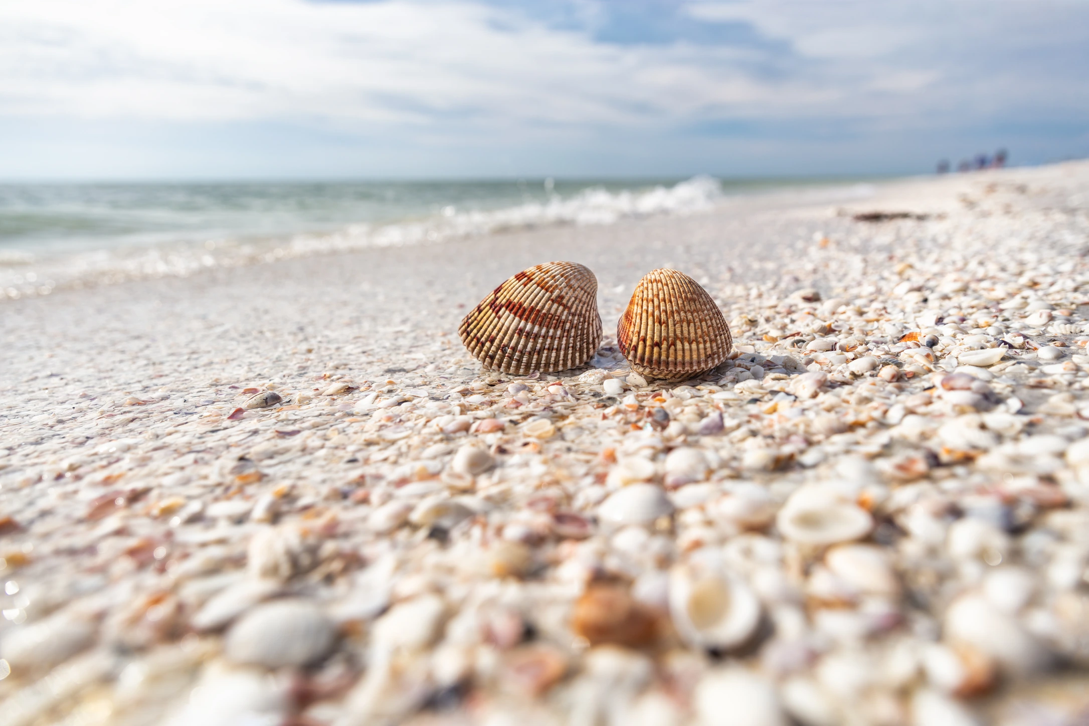 Shelling